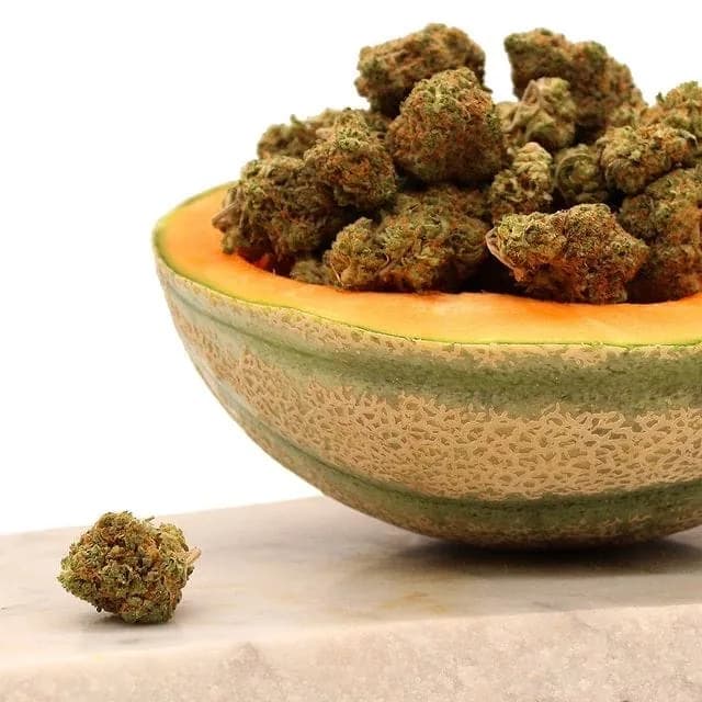 How Terpenes Affect Your High